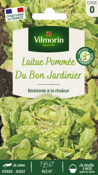 Potagères - Laitue Pommée du Bon Jardinier - PACKAGING_RECTO